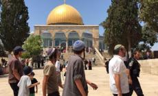 99 مستوطناً و20 طالباً يهودياً يقتحمون ساحات المسجد الأقصى صباح اليوم