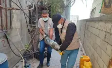 صورة من الأرشيف