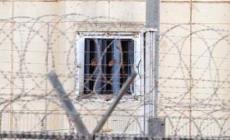 تقرير جديد يكشف انتهاكات خطيرة لجنود الاحتلال بحق معتقلي غزة