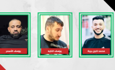 شهداء مخيم الفارعة