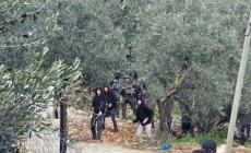 16 إصابة في هجوم للمستوطنين على برية المنية شرق بيت لحم