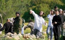 إصابات واعتداءات إرهابية من المستوطنين على أهالي مسافر يطا جنوب الخليل