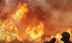 إخلاء مستوطنات وإغلاق طرق رئيسية بسبب حرائق ضخمة في القدس