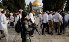 مستوطنون يقتحمون المسجد الأقصى تحت حماية الاحتلال وتوترات متزايدة في القدس