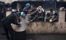 الهيئة الوطنية للسلم الأهلي: نحذر من عسكرة المساعدات وحرب التجويع في غزة