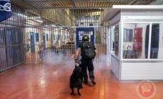 استشهاد الأسير عمرو عودة تحت التعذيب في معسكر (سديه تيمان الإسرائيلي)