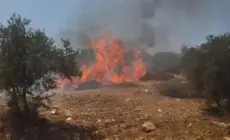 مستوطنون يحرقون المنازل ويعتدون على المواطنين في بلدة بروقين غرب سلفيت.