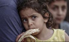 الملتقى الوطني لشؤون العشائر: مقترح ويتكوف شرعنة للتجويع وتواطؤ مع الحصار