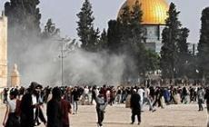 985 مستوطنًا يقتحمون المسجد الأقصى فيما يسمى عيد الأسابيع العبري