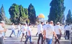 اقتحانات الأقصى