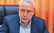 د.محمد الهندي