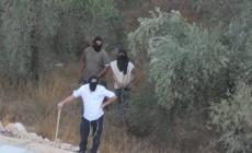 حماس: الاعتداء الإجرامي على المزارعين الفلسطينيين يكشف الوجه الحقيقي لفاشية الاحتلال