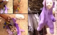 "دمى تتحوّل إلى فخاخ قاتلة".. مخلفات الحرب تنصب شِراك الموت للأطفال في غزة