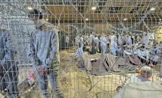 الأسرى في السجون