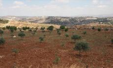 حماس: سياسة الاحتلال بمصادرة الأراضي تأتي في سياق سياسة تطهير مكاني بهدف تفريغ الأرض من أصحابها