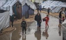 أجواء شديدة البرودة وأمطار متفرقة.. تفاصيل حالة الطقس حتى نهاية الأسبوع