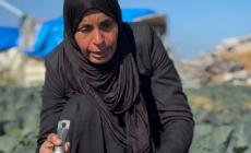 صمود مع كل قطرة..  مزارعة تروي أرضها بيديها بعد أن دمر الاحتلال شبكات الري شمال قطاع غزة 