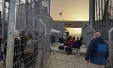 حماس: تصعيد الاحتلال في غزة امتداد لحرب الإبادة ومحاولة لتعطيل فتح معبر رفح