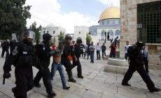 صورة من الارشيف