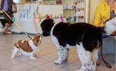 (صورة من الأرشيف)