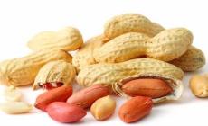 الفول السوداني يحمي من أمراض القلب والشرايين