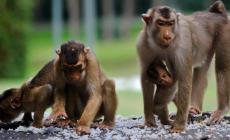 صورة (أرشيفية) 