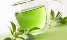 دراسة :الشاي الأخضر يقتل الخلايا السرطانية