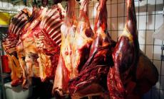 صورة من الارشيف