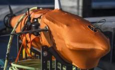 سمكة التجسس الأمريكية "نيمو"