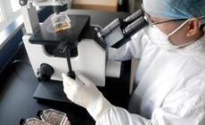 صورة من الارشيف