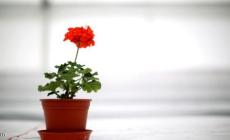 صورة من "الأرشيف"