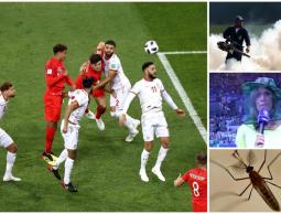 البعوض في مباراة تونس وإنجلترا