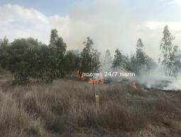 صورة نشرها الاعلام العبري للحرائق التي اندلعت في ناحال عوز