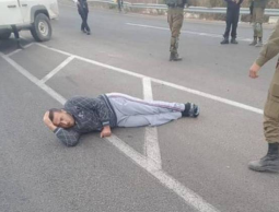 الاحتلال يطلق النار على فلسطيني بزعم تنفيذ عملية طعن بالخليل