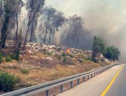 صورة توضيحية