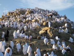 حجاج يقفون على جبل عرفات