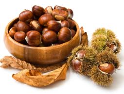 6311_Autumn-fruits-vitamins-delicious-chestnuts