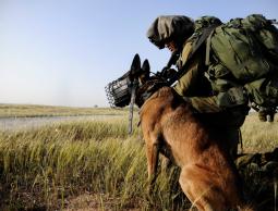 أحد جنود الإحتلال يمسك كلباً بيده (الأرشيف)