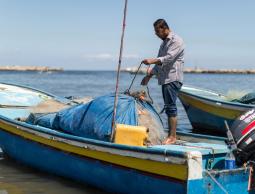 غزة: الزراعة والاقتصاد توضحان عملية تسويق الأسماك للخارج