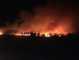 الدفاع المدني يخمد 6 حرائق في محافظة جنين