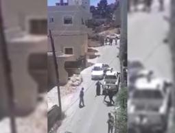 من مكان الشجار