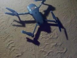 صورة الحوامة