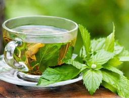 لإكمال رشاقتك عليك بالشاي الأخضر.. تعرف على الطريقة الصحيحة