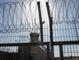 سجون-11 (1).webp