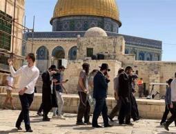 عشرات المستوطنين يقتحمون الأقصى وسط حراسة مشددة