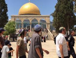 71 مستوطناً و11 طالباً يهودياً يقتحمون المسجد الأقصى تحت حماية قوات الاحتلال
