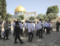 124 مستوطناً و25 طالباً يهودياً يقتحمون المسجد الأقصى صباح اليوم
