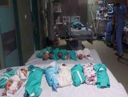 صورة توضيحية