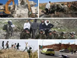 2,977 اعتداءً على التجمعات البدوية في الضفة الغربية المحتلة خلال 2024