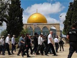 73 مستوطناً و84 طالباً يهودياً و24 شرطياً إسرائيلياً يقتحمون ساحات المسجد الأقصى صباح اليوم